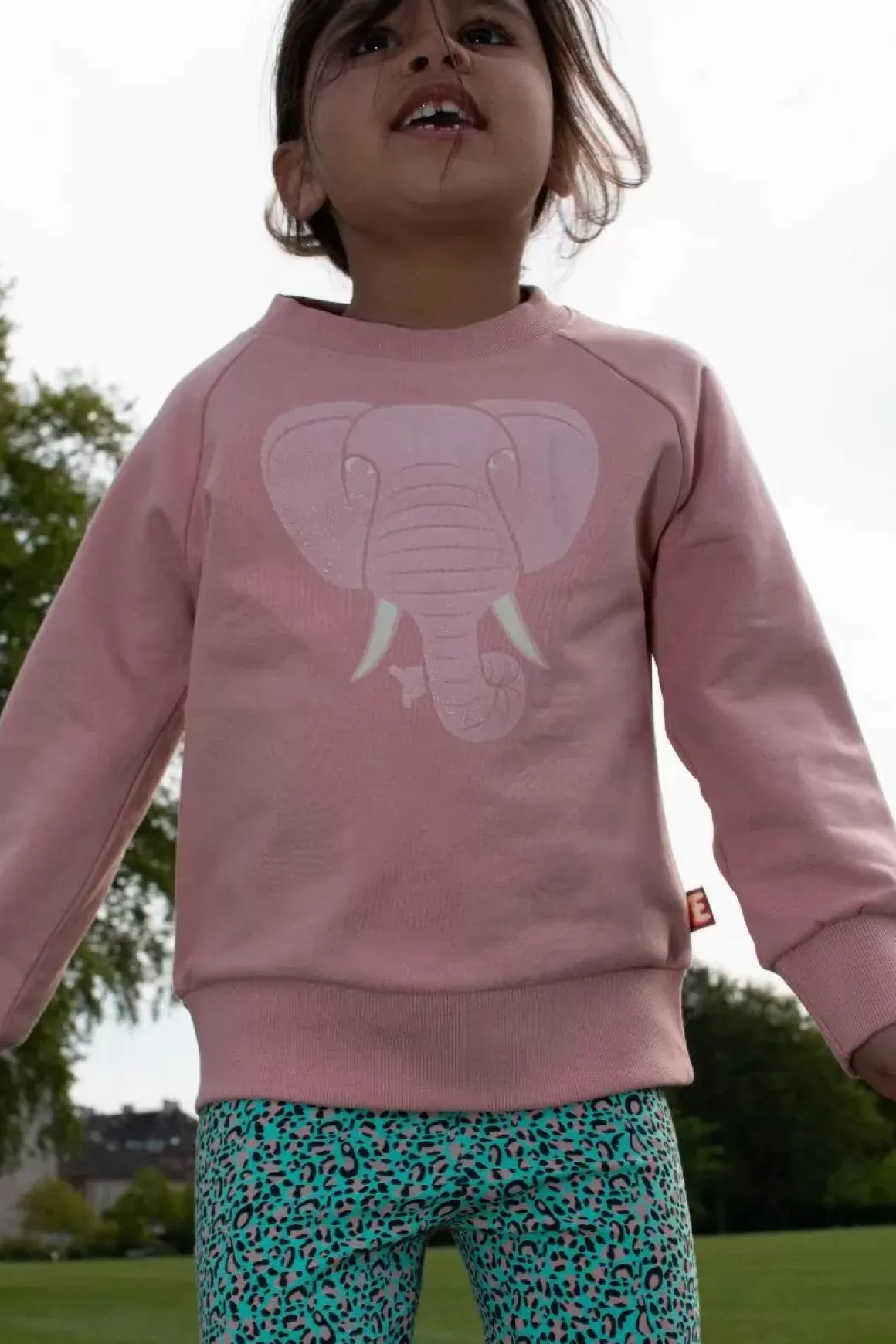 Danefæ Dyrbellow Sweat Noos Rose Glow Elefant Shop